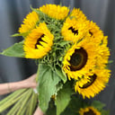Bouquet 'Huge sunflowers'