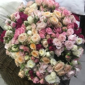 Bouquet 'Favorite song'