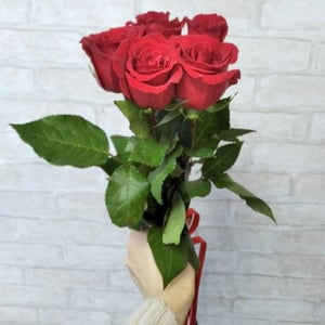 Bouquet of red roses (5 pcs.)