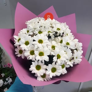 Ramo 'Margaritas blancas'