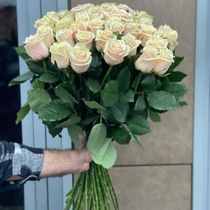 Ramo 'Amanecer de la mañana'