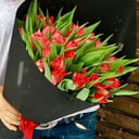 Bouquet of red peony tulips