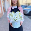 Arrangement 'Alya Camomile'