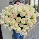 Bouquet of 51 roses
