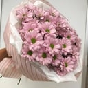 Bouquet of pink chrysanthemum