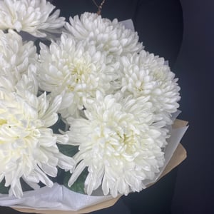 Bouquet 'Antonov 7 chrysanthemums'