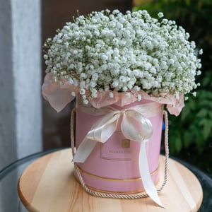 Sombrerera Gypsophila