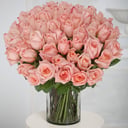 75 Pink roses