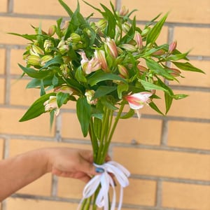 Blumenstrauß 'Waterloo'