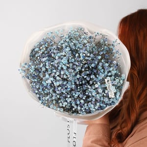 Bouquet of 5 branches of blue gypsophila