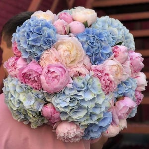 Blue hydrangeas and pink peonies