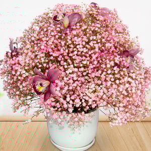 Bouquet 'Pink Gypso and Cymbidium'