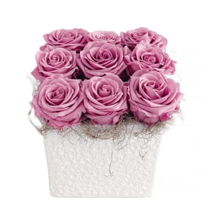 Arrangement 'Purple Roses Cube'