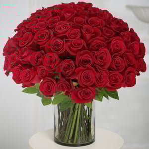 Blumenstrauß '75 rote Premium-Rosen'