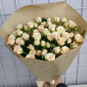 Ramo 'Gentle rustle'