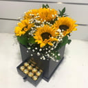 Trinity Box Deluxe Collection - Dainty D