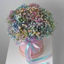 Blumenbox 'Emotionaler Ausbruch'