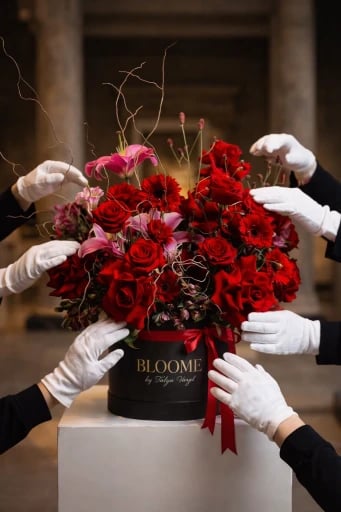 BLOOME by Talya Varyl
