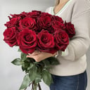 Bouquet of 15 red roses Explorer 70cm