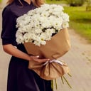 Blumenstrauß 'Strauß Gänseblümchen Standard'