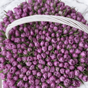 Blumenkorb '201 tulpen Wonderland tulips'