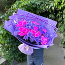 21 spray chrysanthemums