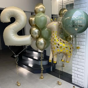 Set of balloons Giraffe