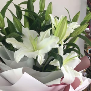 Bouquet of 5 lilies