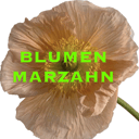 blumen-marzahn
