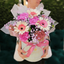 Composition of Gerber and Dianthus