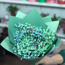 Turquoise Gypsophila