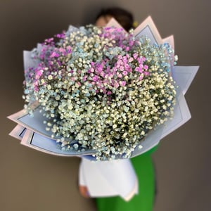 Bouquet 'Gypsophila'