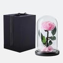 Arrangement 'Glass Dome Vase With Light Pink Rose'