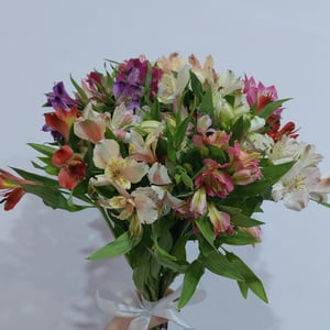 Bouquet 'Alstroemeria mix'