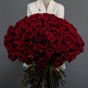 Bouquet '101 roses 'Explorateur Premium''