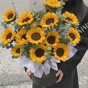 15 sunflowers box