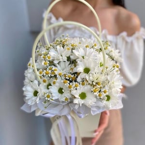 Flower box 'Field of daisies'