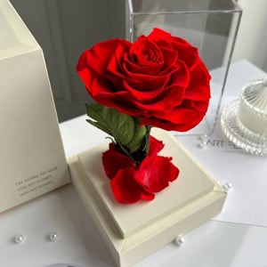 Ewige rote Herz-Rose im weißen Acryltowe