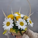 Flower basket 'Daisies'