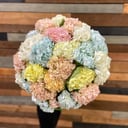 Giant bouquet of hydrangeas