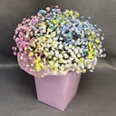 Blumenstrauß 'Gypsophila sprigs'