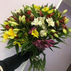 Bouquet of 13 Alstroemerias