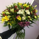 Bouquet of 13 Alstroemerias