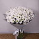 Bouquet of 15 white chrysanthemums