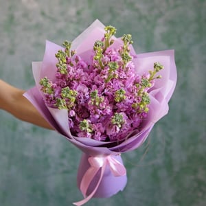 Bouquet de Matthiolas roses