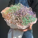 Ramo 'Bouquet of rainbow gypsophila'