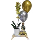 Orchid plant, virgin and brownies