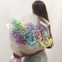 Ramo 'Bouquet of 17 branches of colored gypsophila'