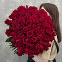 Bouquet of 101 red roses Crush