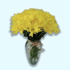 Arrangement 'Shine of Light'